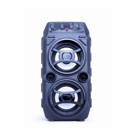 Cassa Audio Bluetooth Spk-Bt-13 Con Funzione Karaoke
