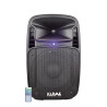 Cassa Audio Tiger 12A 360W Usb + Bt