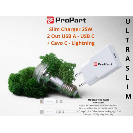 Slim Carica Batterie + Cavo Tipo C Lightning 25W 1 Out USB C
