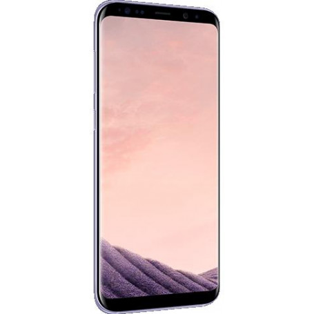 LCD Originale Samsung G955 Galaxy S8 PLUS Violet GH97-20470C