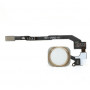 Pulsante Home Completo Per iPhone 5S Gold