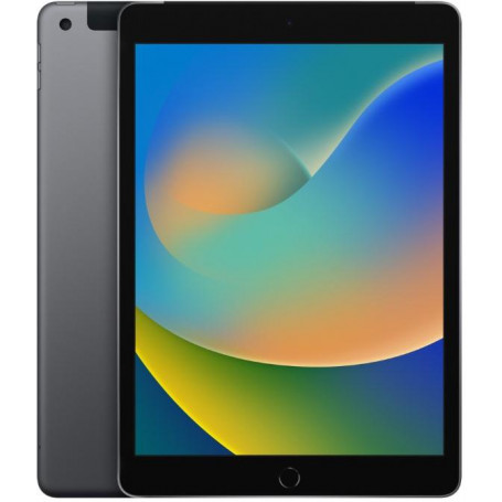 Apple iPad 9 A2602 2021 10.2'' 64GB Grey Wi-Fi Usato Grado A