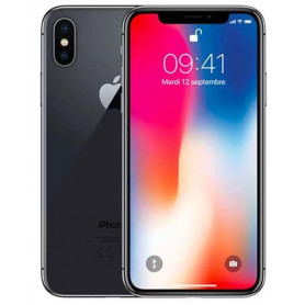 Apple iPhone X 256GB Usato Grado A Grigio Siderale