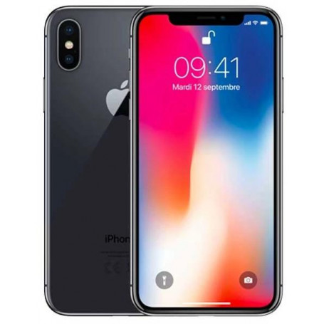 Apple iPhone X 256GB Usato Grado A Grigio Siderale