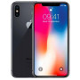 Apple iPhone X 256GB Usato Grado A Grigio Siderale