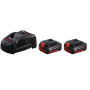 1600A00B8J,Set 2 batterie 18V 5.0Ah + Caricabatteria  