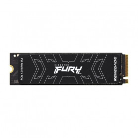 Hard Disk Ssd 500 Gb Fury Renegade M.2 Nvme (Sfyrs/500G)