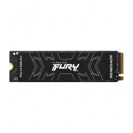 Hard Disk Ssd 500 Gb Fury Renegade M.2 Nvme (Sfyrs/500G)