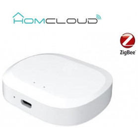 Centralina intelligente Hub - Zigbee+Bluetooth