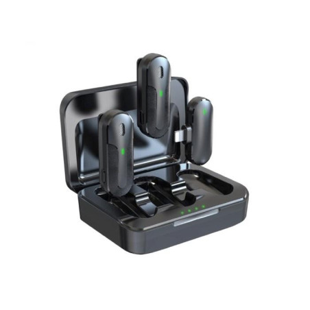 Doppio Microfono Wireless Con Connessione Tipo-C (Deap2Wc241)