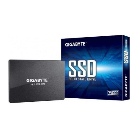 Hard Disk Ssd 256Gb Sata 3 2.5" (Gp-Gstfs31256Gtnd)