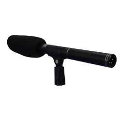Microfono Zoom Con Doppia Capsula (Dmc 943)