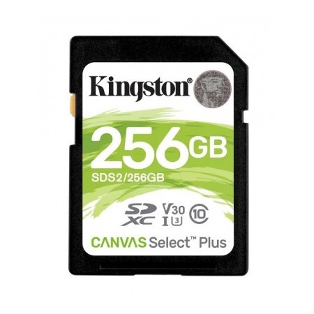 Secure Digital 256 Gb Canvas Select Plus (Sds2/256Gb) Class10 Uhs-I