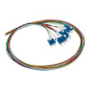 Set 12 Cavi Pigtail Fibra Ottica Colorati Connettori Lc Singlemode Simplex 2 Mt (Lklc12Pts)