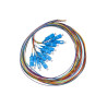 Set 12 Cavi Pigtail Fibra Ottica Colorati Connettori Sc Singlemode Simplex Mt 2 (Lksc12Pts)
