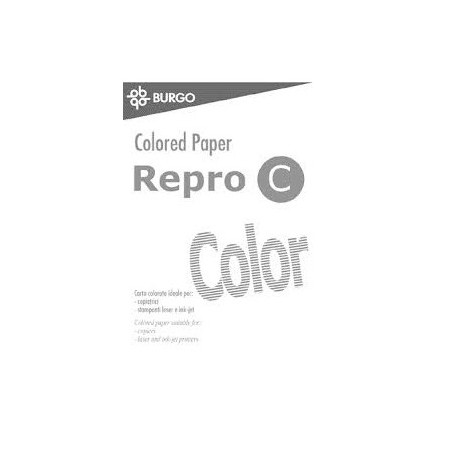 Carta A4 Repro C Color Bianco - 250 Fogli - 160 Grammi